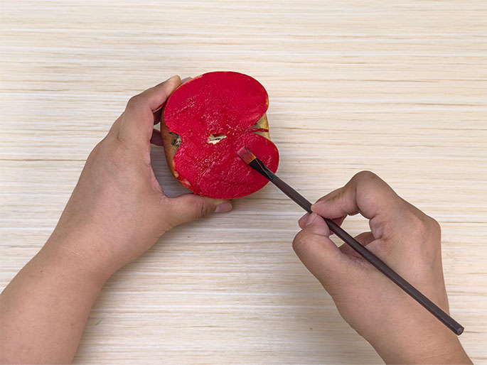 On a light woodgrain surface, two hands are shown using a cut apple as a stamp. One hand holds a half of an apple, cut side up, which has been coated in red paint. The other hand holds a paintbrush with a dark handle and is applying more red paint to the cut surface of the apple, ensuring it's evenly covered for stamping.