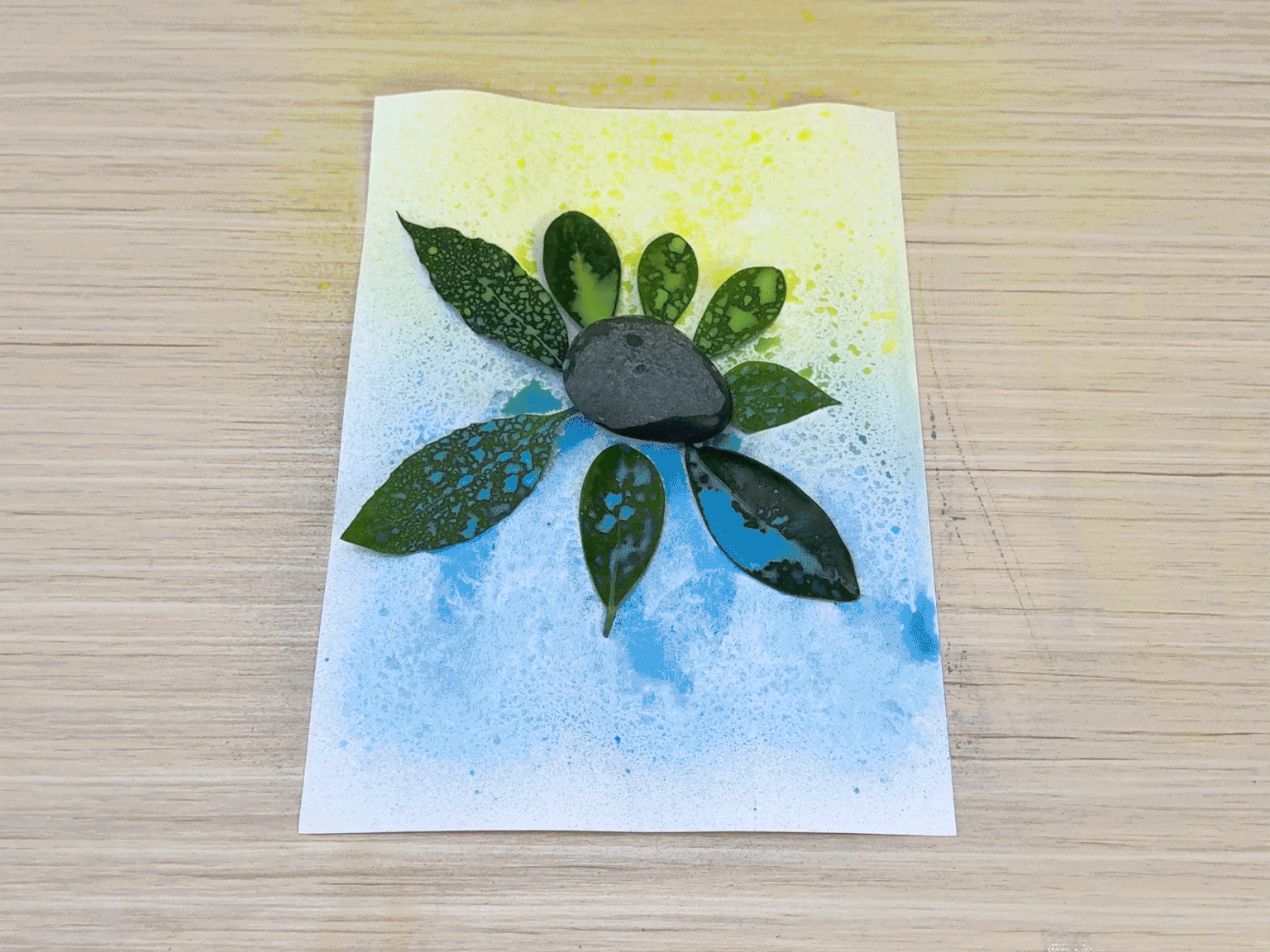Green leaves and a gray rock are being removed from a piece of white paper that has been spray-painted with yellow and blue paint. The removal reveals a white flower-like shape where the leaves and rock were previously placed, acting as a mask against the paint. The paper rests on a light wood-grain table, and the yellow paint is concentrated at the top, while the blue is at the bottom, creating a gradient effect. The leaves and rock are being lifted, partially obscuring the white flower shape underneath.