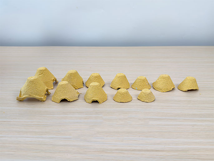 Several cone-shaped pieces cut from a cardboard egg carton are arranged in a row on a light wood-grain surface. The pieces vary slightly in size, with some appearing to have been trimmed more than others. They are all the same light yellow-brown color as the original carton. This image likely shows prepared components for a craft project, ready to be decorated or assembled.