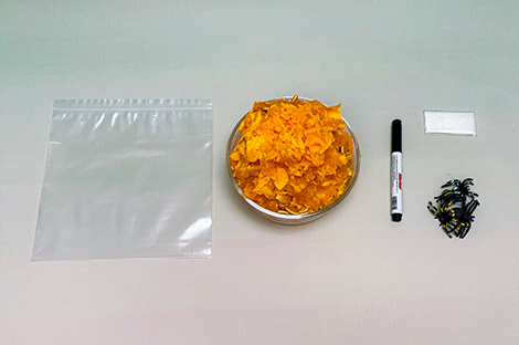 Several items are neatly arranged on a light grey surface, clearly laid out for a craft project. These include a clear plastic resealable bag, a small glass bowl filled with bright orange, shredded material (possibly pumpkin), a black marker pen, a small white square (possibly for a template), and a group of small, black plastic spiders. The arrangement suggests preparation for a Halloween-themed craft activity, likely involving filling the bag with the orange material and spiders and decorating it with the marker pen.