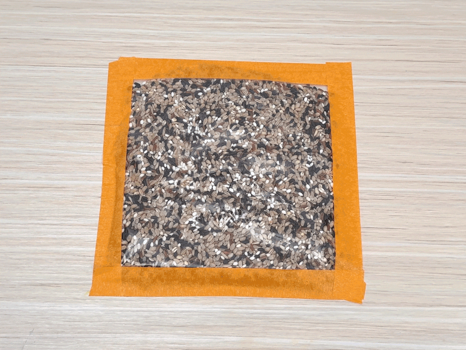 A square, clear plastic bag filled with a variety of seeds rests on a light wooden surface. Orange tape borders the bag, likely securing it to the surface. The seeds vary in color and size, suggesting a mix for birdseed or planting.