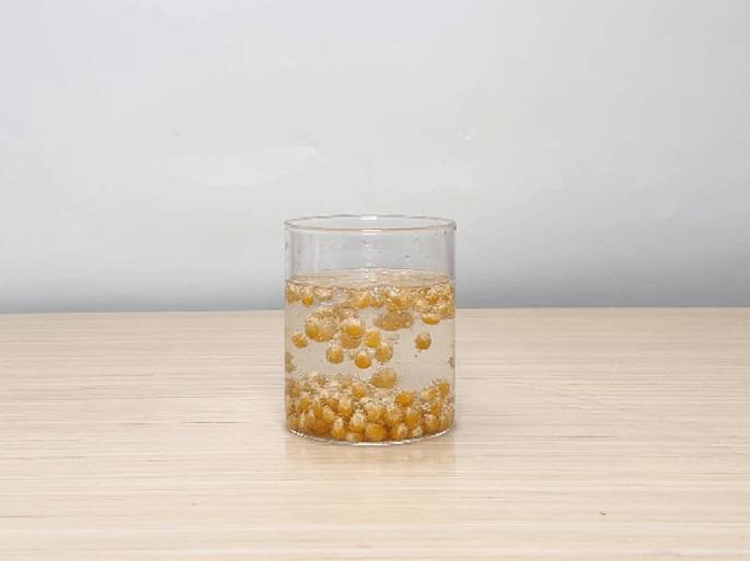 A clear glass filled with water and popcorn kernels sits on a light wooden table against a plain white background. The kernels at the bottom of the glass remain stationary, while several kernels near the top of the water bob up and down and around. Tiny bubbles adhere to the kernels, causing their movement. The video demonstrates the effect of carbonation or another gas creating buoyancy, making the kernels rise and fall within the water.