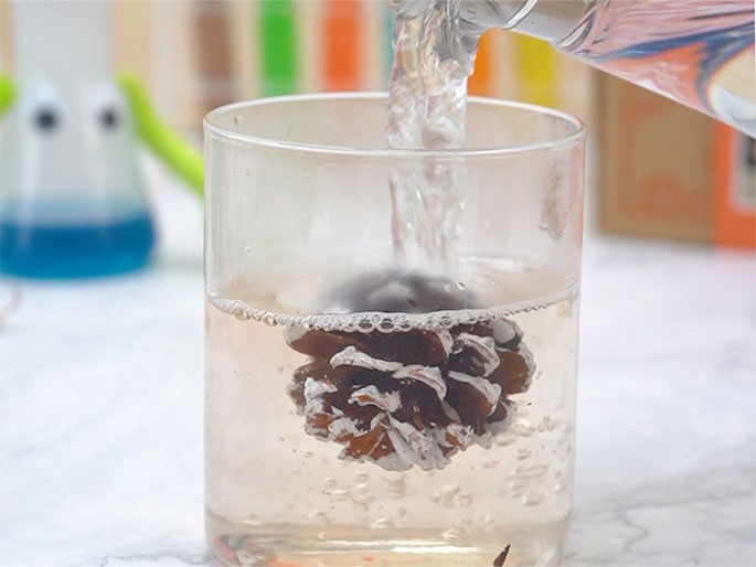 Water is being poured from a clear bottle into a clear glass cylinder containing a pine cone partially painted white. The pine cone is submerged in the water, and small bubbles are visible. Blurred in the background are a beaker with blue liquid, a novelty beaker with googly eyes and green arms, and colorful test tubes, indicating a science experiment or demonstration, likely showing the effect of water absorption on the pine cone.