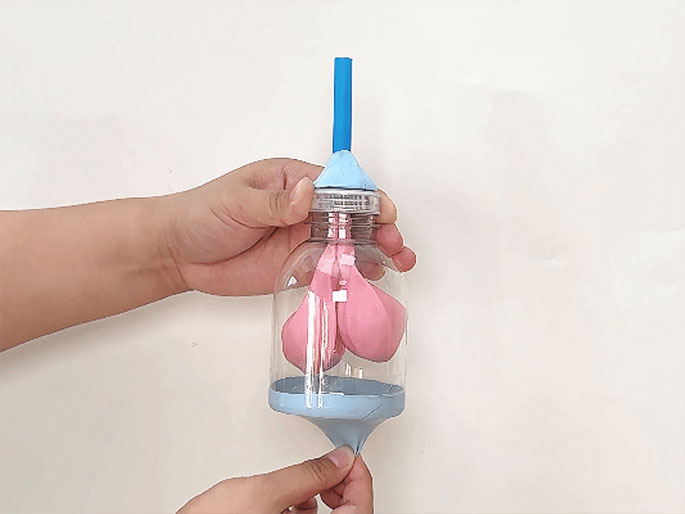 Two hands manipulate a homemade device constructed from a clear plastic bottle, two balloons (one pink, one light blue), and a blue straw. The pink balloon is inside the bottle and partially inflated. The light blue balloon is stretched over the bottom opening of the bottle. The blue straw is inserted in the bottle's top opening and sealed with light blue putty or clay. One hand holds the bottle while the other gently pulls on the light blue balloon at the bottom. The background is plain white. This appears to be a science experiment demonstrating lung function or the principles of air pressure and volume.