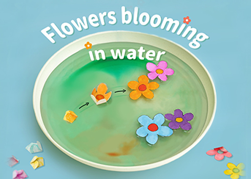 A shallow dish of green liquid contains several colourful paper flowers, some still folded and others blooming, with the words Flowers blooming in water arched above.A shallow dish of green liquid contains several colourful paper flowers, some still folded and others blooming, with the words Flowers blooming in water arched above.