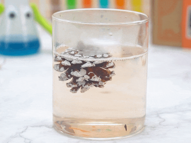 A pine cone floats in a clear glass filled with a liquid. Tiny bubbles rise around the pine cone, suggesting a chemical reaction or the presence of carbonation. The background is blurred, but test tubes and other science-related items are visible, indicating a scientific experiment or demonstration. The focus remains on the pine cone and its interaction with the liquid.