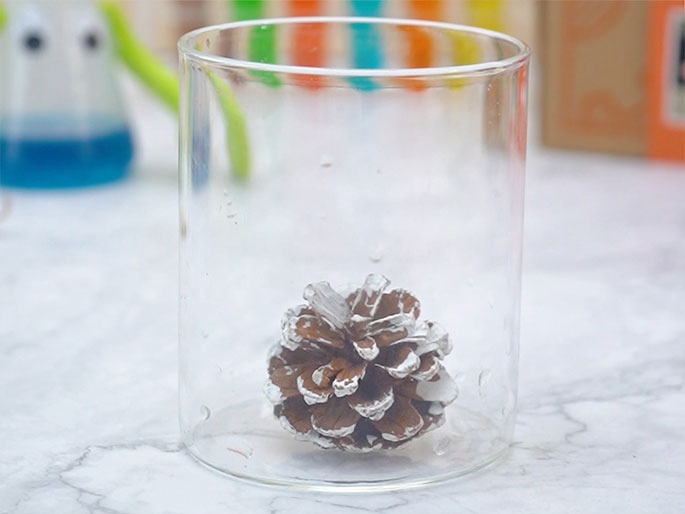 A small pine cone, partially painted white, sits inside a clear glass cylinder on a marble surface. In the blurred background, a beaker with blue liquid, a novelty beaker with googly eyes and green arms, and colorful test tubes are visible, suggesting a science experiment or demonstration involving the pine cone.