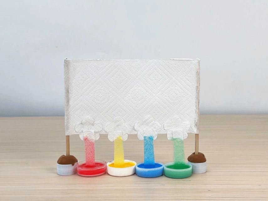 A time-lapse video demonstrates a color mixing experiment using paper towels and colored water. Four small, clear plastic bottle caps containing red, yellow, orange, and green water are arranged in a row on a light wooden surface. Small wooden sticks are inserted into modeling clay bases and placed behind each cap. A white paper towel is draped over the sticks, with the bottom edge submerged in the colored water. As time passes, the colored water wicks up the paper towel via capillary action, creating vertical streaks of color that gradually blend together where they meet. The video focuses on the process of the colors traveling up the paper towel and mixing.