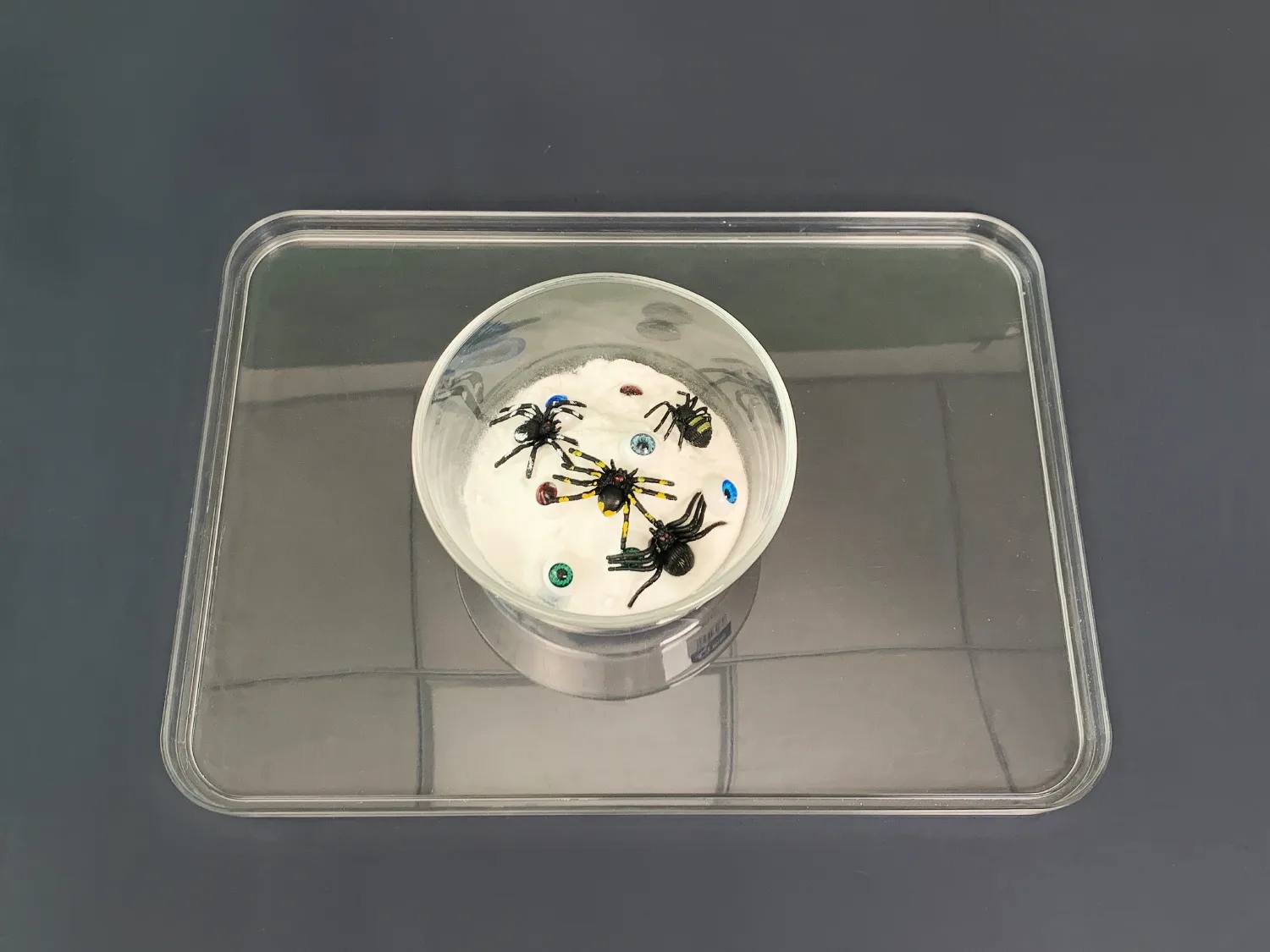 A clear glass bowl sits on a clear plastic tray, which is placed on a dark grey surface. Inside the bowl is a quantity of white powder, amongst which are several small plastic spiders and a scattering of colourful beads. The scene is reminiscent of a Halloween-themed craft project, perhaps the preparation for making slime or a similar activity. The clear containers allow the contents to be viewed clearly, highlighting the contrast between the white powder and the dark spiders and bright beads.