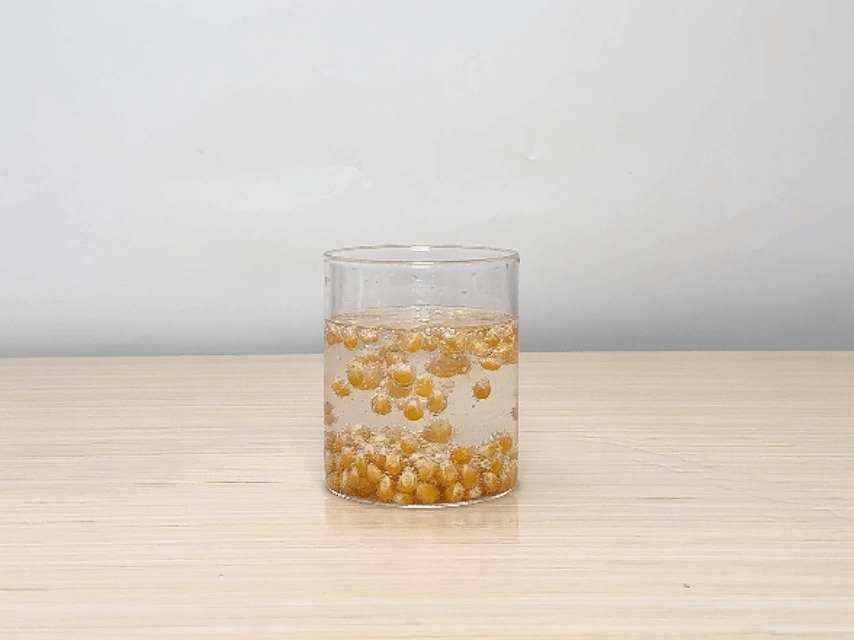A clear glass filled with water and popcorn kernels sits on a light wooden table against a plain white background. The kernels at the bottom of the glass remain stationary, while several kernels near the top of the water bob up and down and around. Tiny bubbles adhere to the kernels, causing their movement. The video demonstrates the effect of carbonation or another gas creating buoyancy, making the kernels rise and fall within the water.