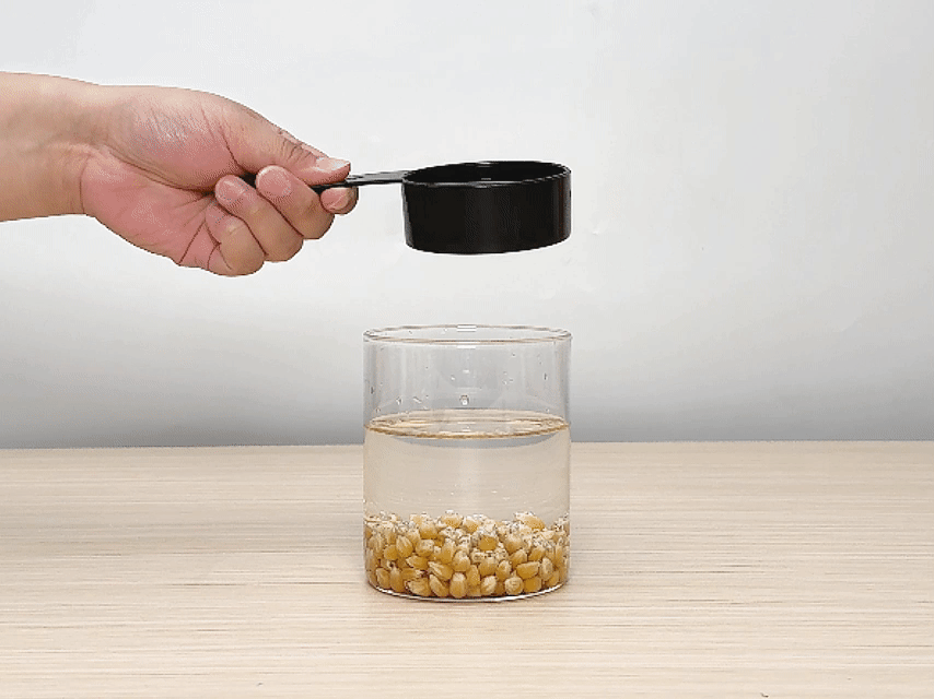 A hand holds an empty black measuring cup above a clear glass beaker partially filled with water and corn kernels. The beaker sits on a light woodgrain table against a plain off-white background. The corn kernels are submerged at the bottom of the beaker. The positioning of the hand and measuring cup suggests that something, likely a liquid or powder, is about to be added to the beaker.