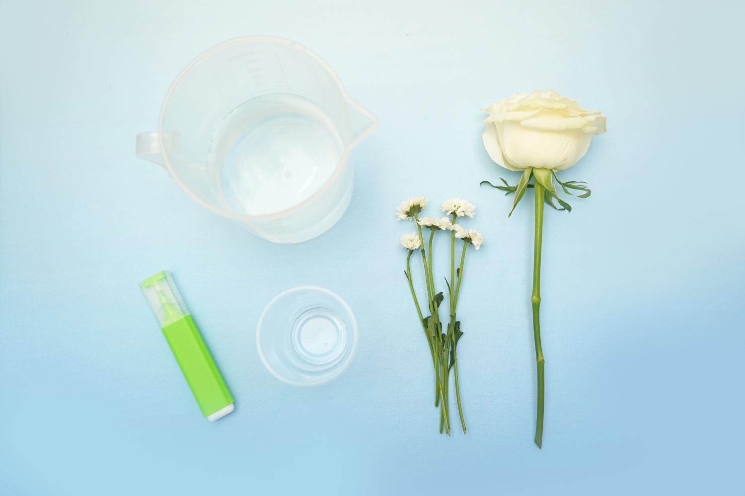 Arranged on a pale blue surface are several items, suggesting preparation for a floral experiment or craft project. These include a clear plastic jug containing water, a smaller clear plastic cup, a lime green highlighter pen, a single white rose, and a small bunch of white chrysanthemum flowers. The items are neatly spaced and well-lit, creating a clean and organised aesthetic. The overall impression is one of readiness for a creative or scientific endeavour involving flowers and possibly fluorescent materials.