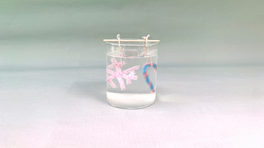 Splendid! Our pink snowflake and candy cane are now submerged in the borax solution, gently suspended from a little wooden stick. Let's leave them to soak and watch the magic happen! It's all rather exciting, innit?