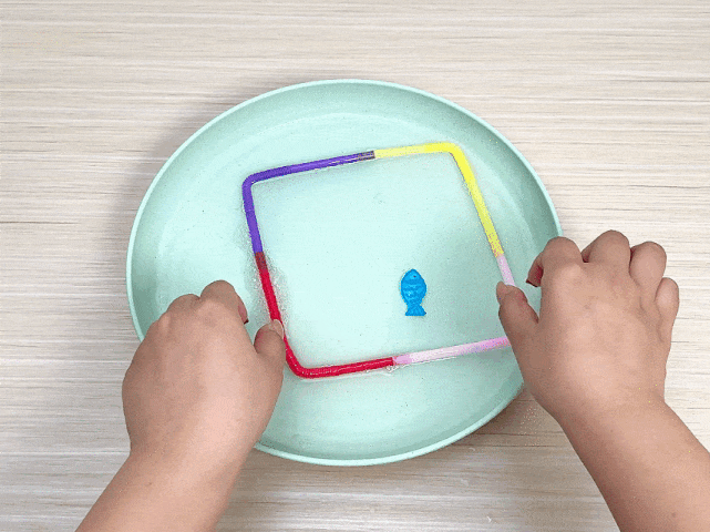 Two hands manipulate a square frame made of connected, colorful plastic straws floating in a shallow, light green dish filled with water. The straws are purple, pink, yellow, and pale pink/white. A small, blue fish-shaped object floats inside the straw square. The dish sits on a light woodgrain table. The scene suggests a playful activity or a child's craft project.
