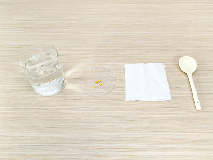 Arranged on a light wood-grain table are a few items seemingly prepared for a small science experiment or seed germination: a clear glass of water, a small, clear dish containing a few small yellow seeds, a folded white paper towel or napkin, and a white plastic spoon. The simple setup suggests the beginning stages of a project involving plant growth.