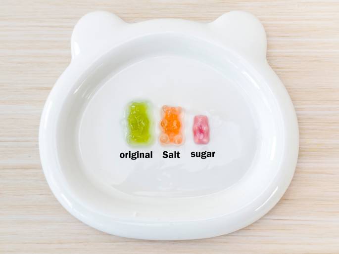 A white, bear-shaped dish sits on a light woodgrain table. On the dish are three gummy bears labeled from left to right: original, Salt, and Sugar. The original gummy bear is green and appears relatively unchanged. The Salt gummy bear is orange and noticeably larger than the original, indicating it has absorbed liquid. The Sugar gummy bear is pink and significantly smaller than the original, suggesting it has lost liquid. This image likely displays the final results of an experiment showing the effects of salt and sugar solutions on gummy bears over time.