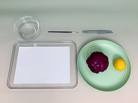 Gather your colourful crew, my friend! We'll need a purple cabbage, a lemon, a small knife, a paintbrush, a bowl of water, and a sheet of paper. Let's get those colours swirling!
