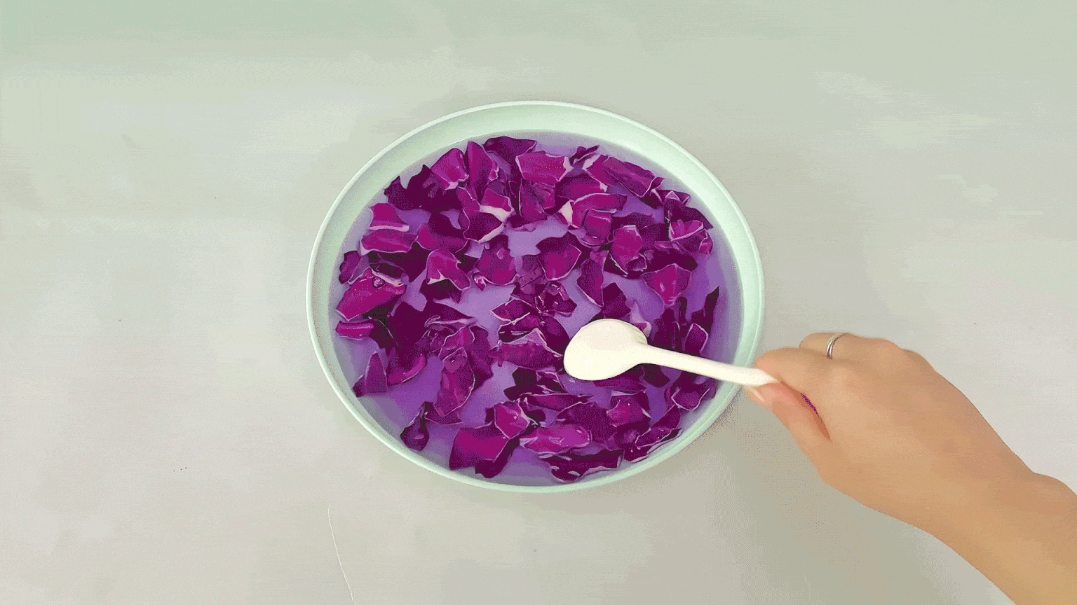 Ooh, look at that vibrant purple! A hand is gently stirring some shredded purple cabbage in a bowl of water, creating a lovely, rich coloured liquid. It's all rather pretty, innit? Let's see what happens when we add some other liquids!