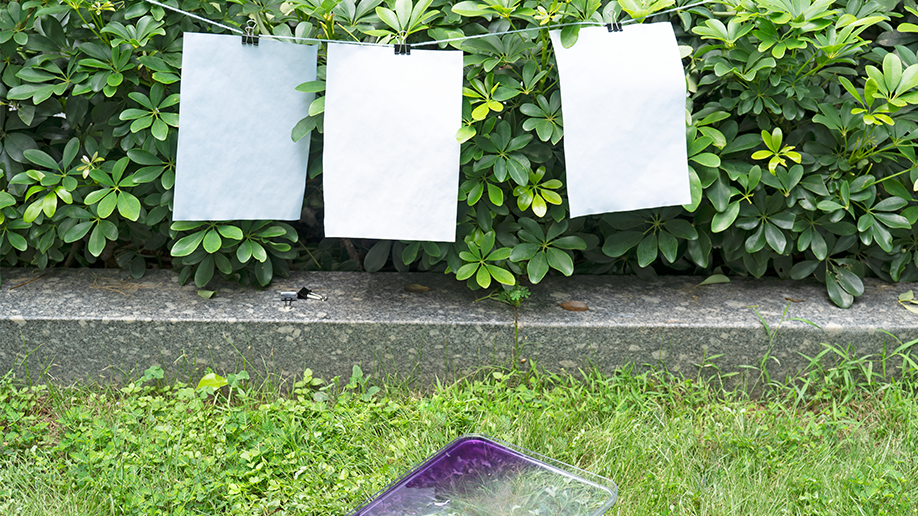 Crikey, look at that! The paper's been hanging out to dry, and the purple cabbage juice has created some rather lovely, subtle patterns. It's all rather artistic, innit? A proper bit of natural dyeing magic!