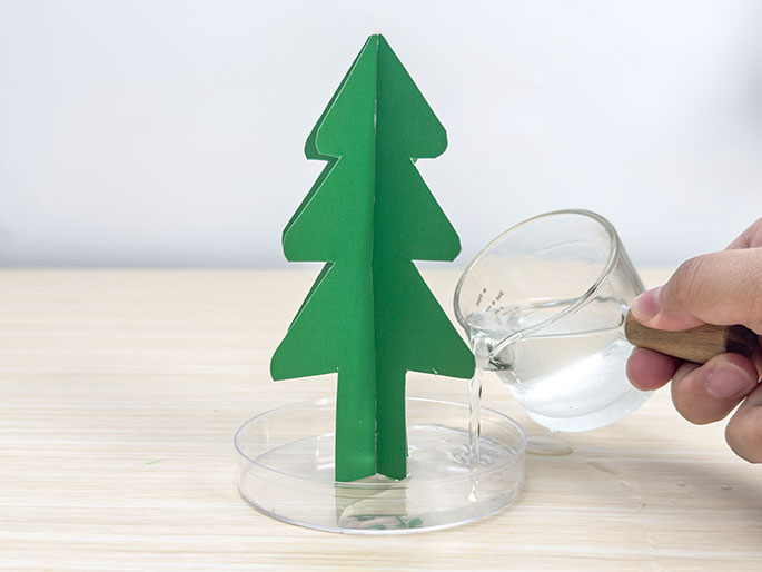 A hand pours water from a glass beaker into a clear dish, in which a small, green, cardboard Christmas tree stands, on a light wood-grain surface.