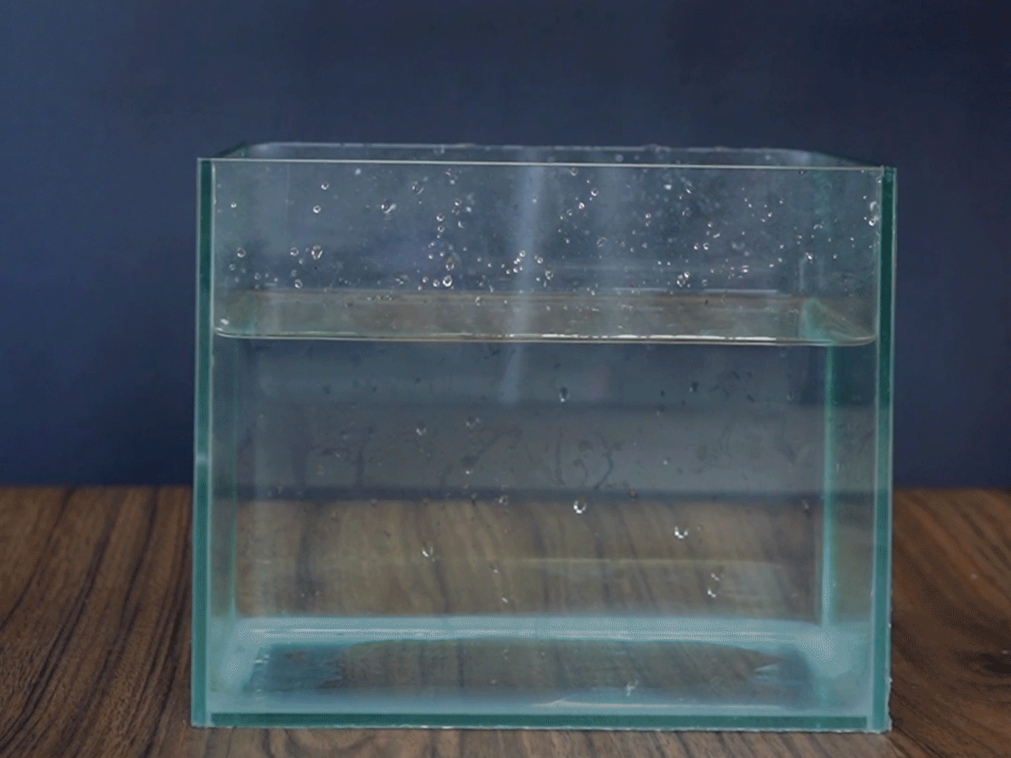 Blimey, look at that! A glass container is partially filled with water, and there are little bubbles rising to the surface. It's all rather intriguing, innit? What's causing those bubbles I wonder? A proper mystery!