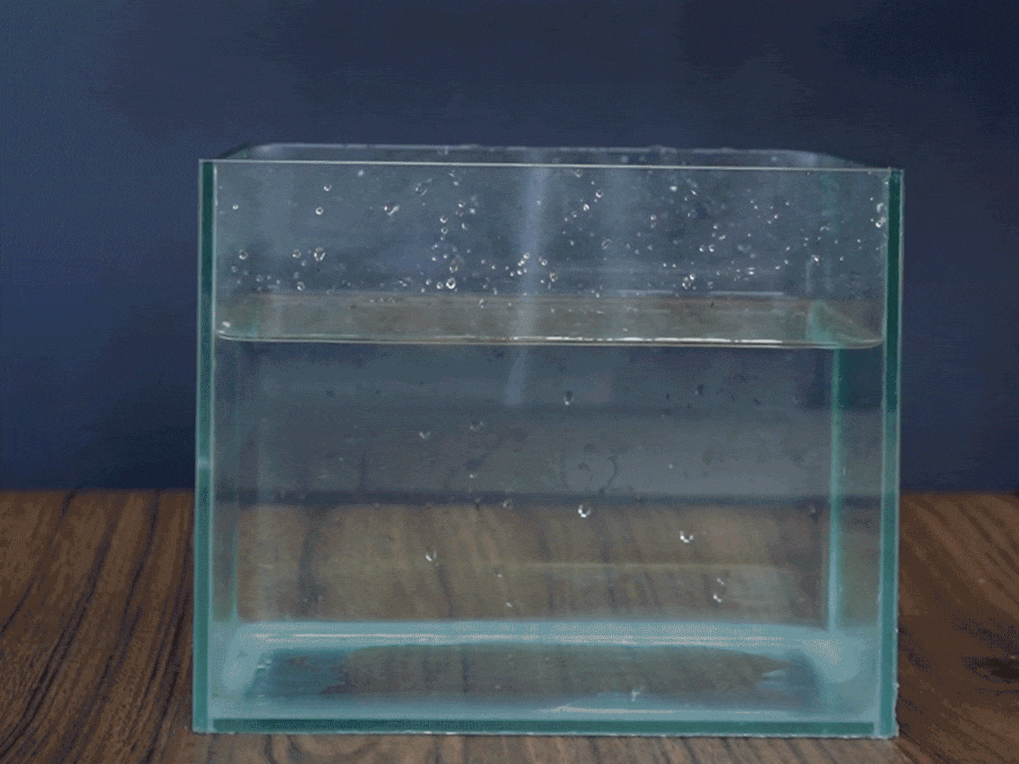 Crikey, look at that! More bubbles! It seems the water's still fizzing away. It's all rather fascinating, innit? I wonder what's causing all this bubbling excitement!