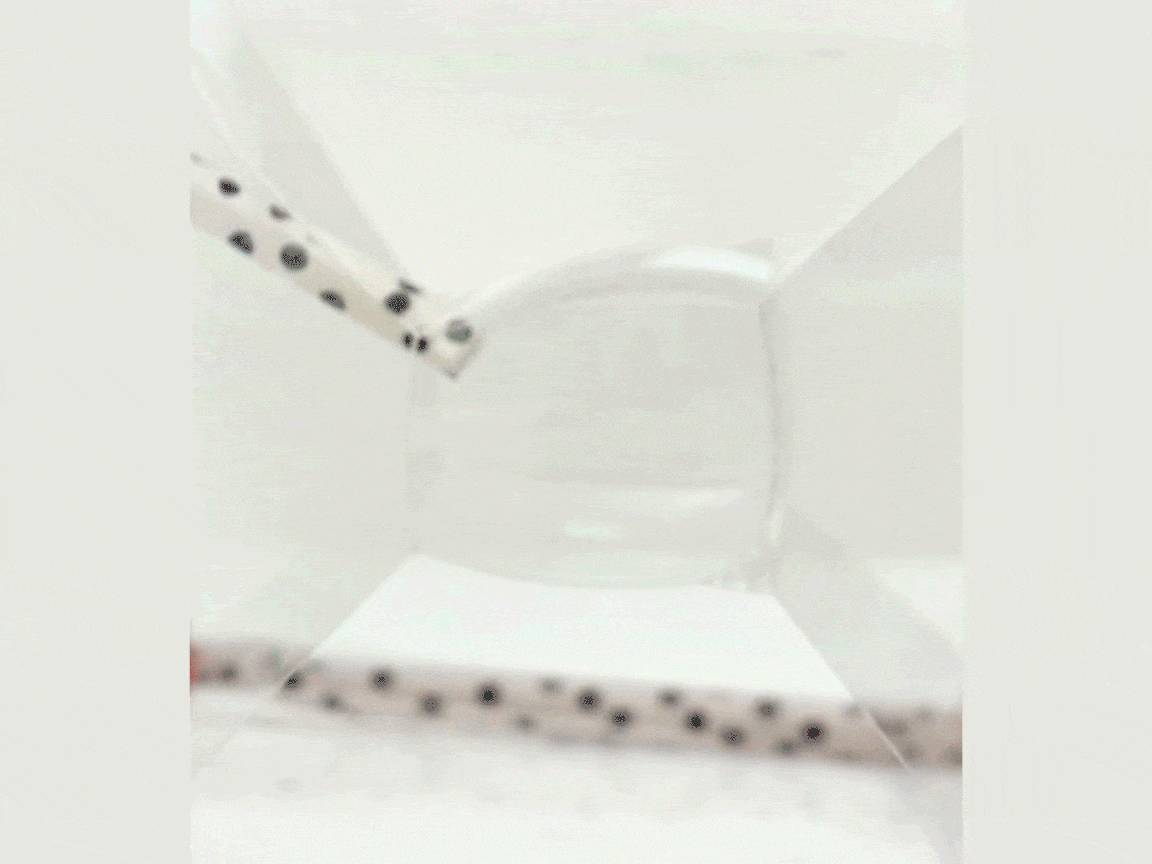 A clear glass or container, partially filled with a clear liquid, is being stirred with a white straw decorated with black polka dots.