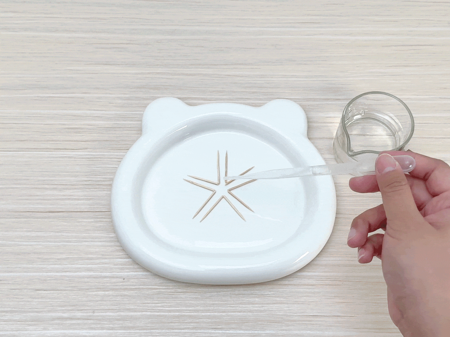 Several wooden toothpicks are arranged in a star shape on a white, bear-shaped dish. A hand uses a clear plastic pipette to carefully drop water onto the center of the star where the toothpicks meet. A small, clear glass beaker containing water sits beside the dish. The video appears to demonstrate a simple science experiment, possibly showing the absorption of water by wood or the principles of capillary action.