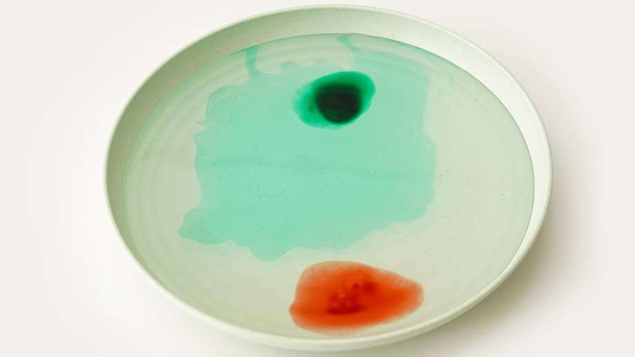 A pale green shallow dish contains water with a blob of green and a blob of orange liquid in it.