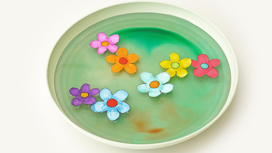 
                        Image-To-Prompt-AI
                        
                        Poe
                        Several colourful paper flowers float on the surface of green-tinged water in a pale green shallow dish; some flowers are fully open, and others remain folded.
