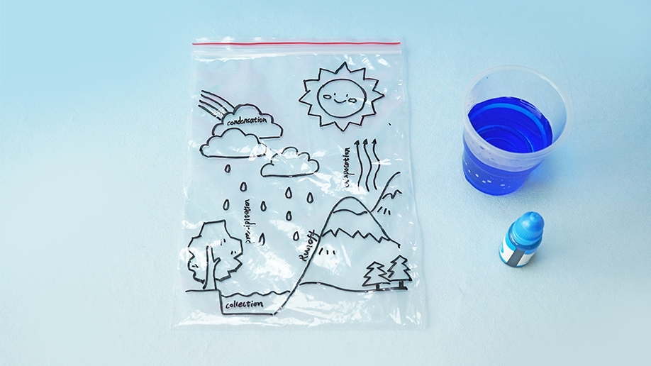 A clear plastic bag, featuring a hand-drawn water cycle diagram, sits beside a small cup of blue liquid and a bottle of blue food colouring on a pale blue surface; the bag is ready to have the water added to demonstrate the water cycle.