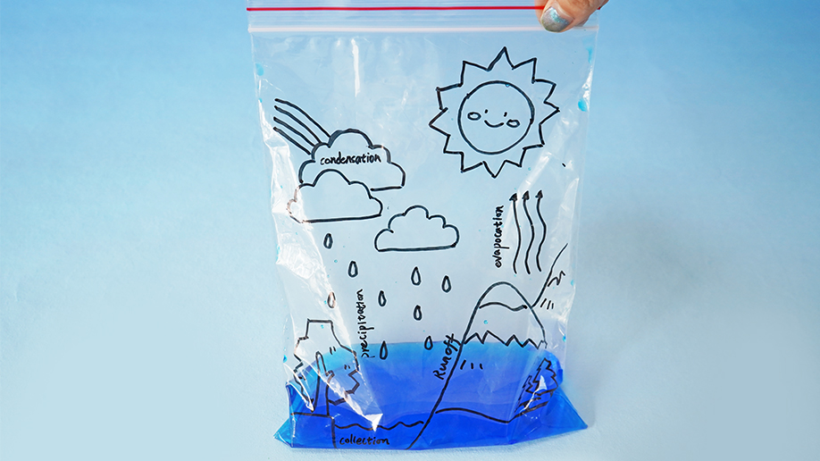 A hand holds up a clear plastic bag with blue-tinted water at the bottom and a hand-drawn water cycle diagram on the outside, against a pale blue background.