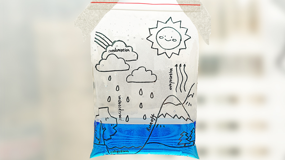 A clear plastic freezer bag, decorated with a hand-drawn water cycle diagram and filled with blue-tinted water, hangs against a blurred background.