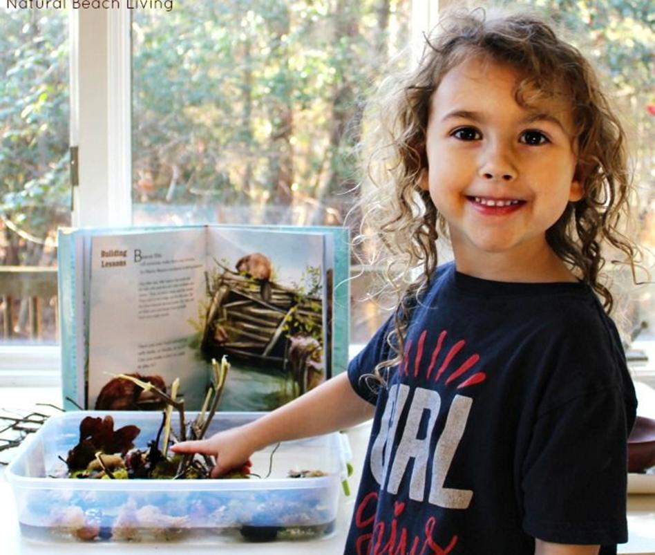 A young girl with curly hair smiles whilst interacting with a nature-based diorama, possibly a beaver dam, alongside an open book about building; a scene suggesting a hands-on learning experience about nature.