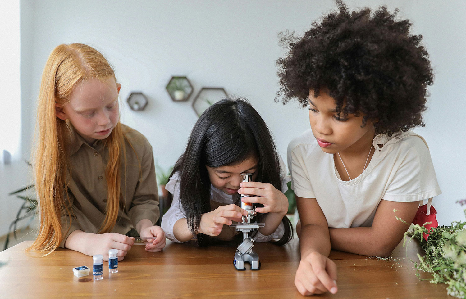 Three children are gathered around a wooden table, engaged in a science activity with a microscope. A child with long red hair examines a small glass slide, while a child with long dark hair looks through the microscope. A third child with dark, curly hair observes their classmate using the microscope. Small vials and containers, possibly holding specimens or scientific materials, are also on the table. The background is simple and brightly lit, with hexagonal shelves holding small plants visible on the wall. The scene portrays a diverse group of children engaged in scientific exploration and learning.