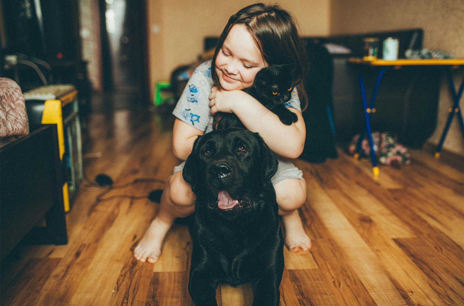 A child with shoulder-length brown hair, wearing a gray short-sleeved shirt, crouches on a light brown wood floor and hugs a black cat and a black Labrador retriever dog. The child smiles gently, holding the cat securely in their arms while the dog sits patiently in front, its mouth slightly open. The room appears to be a living area, with furniture slightly blurred in the background. The warm lighting and composition create a sense of affection and companionship between the child and the animals.