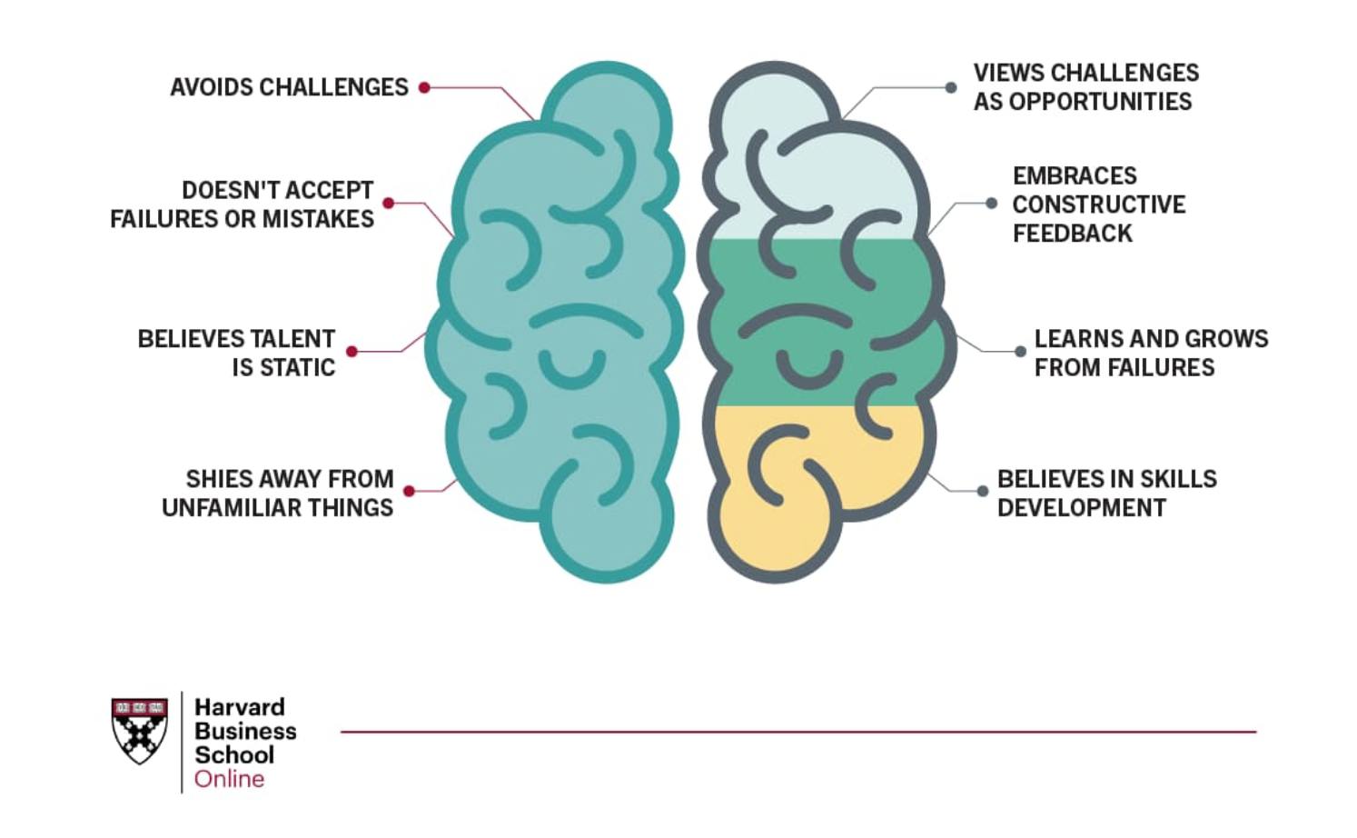 An infographic from Harvard Business School Online illustrating the difference between a fixed mindset and a growth mindset, represented by two halves of a brain.