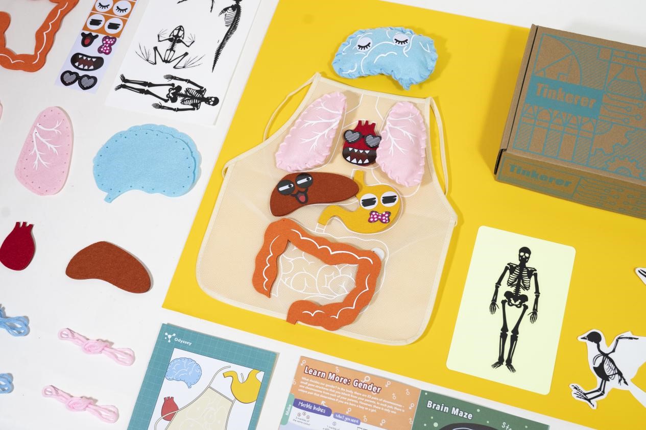 A playful educational STEM box for kids featuring a felt apron with colourful, cartoon-like human organs, a felt brain, a skeleton, and other anatomical elements. The STEM kit is laid out on a bright yellow surface, suggesting a creative and engaging learning experience.