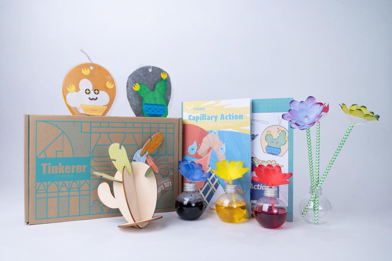 A colourful and playful science kit for kids, featuring a cactus toy, felt cactus, a book titled Capillary Action, colourful liquid in glass bottles, and paper flowers. The STEM kit is arranged on a white background, creating a clean and inviting aesthetic. The overall mood is educational and fun, suggesting a hands-on learning experience.