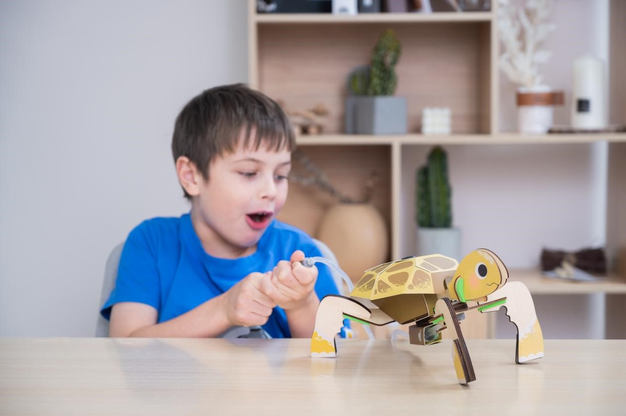 A young boy, with a look of amazement on his face, is playing with a cardboard turtle toy. He is holding a tube connected to the turtle, and it looks like he is about to make it move. The boy is sitting at a table in a bright room, and the background is a bookshelf with various items on it.