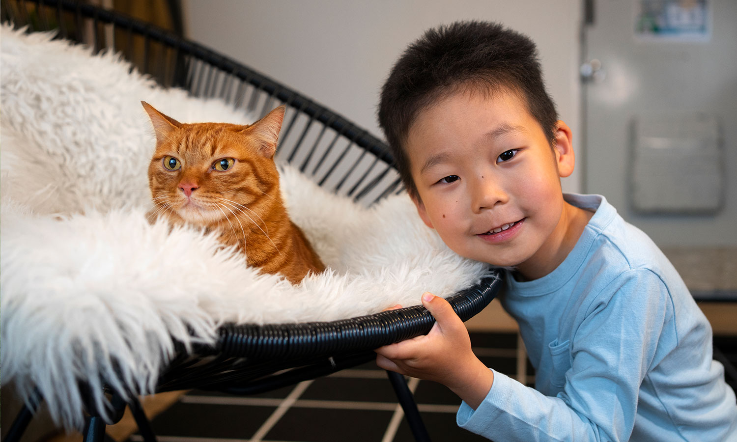 A young boy with short dark hair, wearing a light blue long-sleeved shirt, leans towards a black wicker chair holding a fluffy white cushion. An orange tabby cat sits comfortably on the cushion, looking towards the side. The boy smiles at the camera, his hands gripping the edge of the chair. The background is slightly out of focus, showing a checkered floor and a partially visible door. The scene evokes a sense of warmth and companionship between the child and the cat.