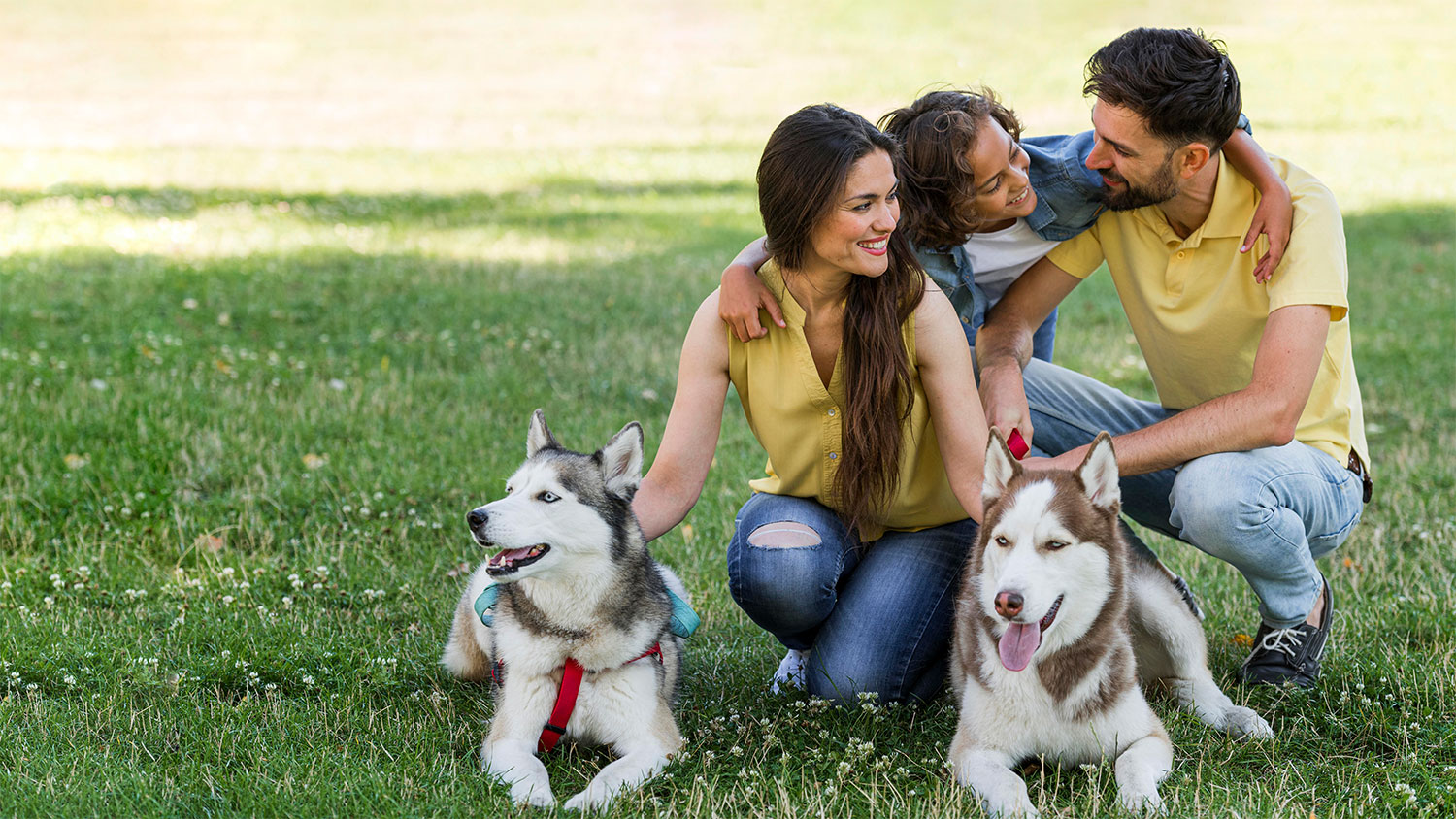 A family of four, including a mother, father, and child, are crouched down in a grassy park with two husky dogs. The parents, wearing yellow shirts and jeans, flank the child who has an arm around each of them. The mother has long brown hair and the father has short dark hair and a beard. Two huskies, one with a gray and white coat and the other with a reddish-brown and white coat, lie on the grass in front of the family. The family and dogs appear relaxed and happy, enjoying their time together outdoors.