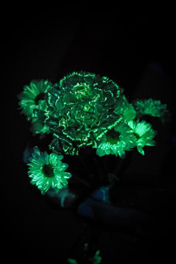 A green flower from a STEM project in a dark room